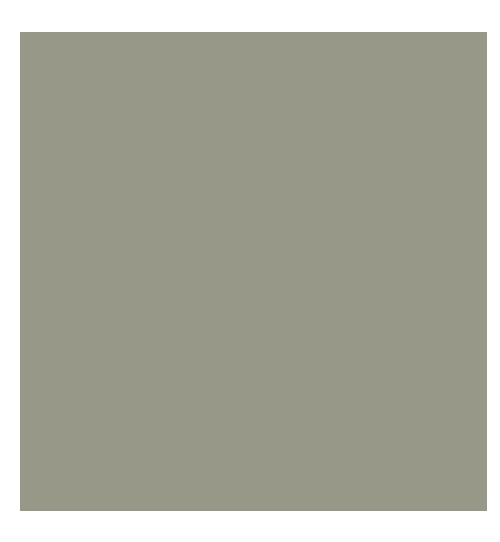 Ral Slim finishing and material