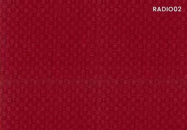 RY02