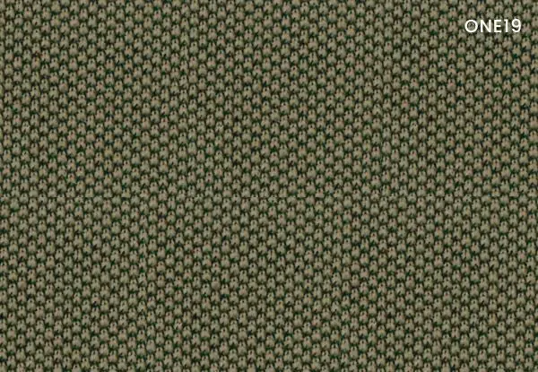 OE19