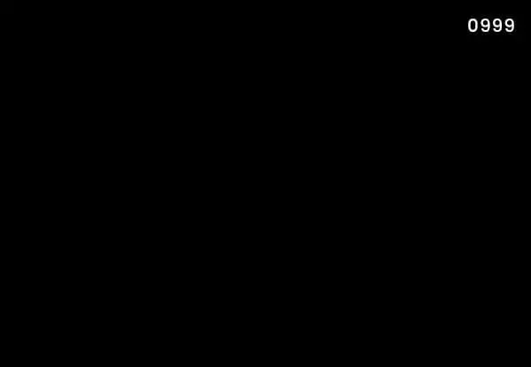 Plastic-Color-0999
