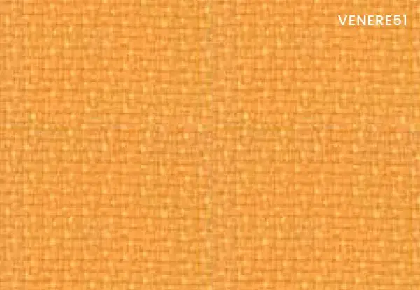 VN51