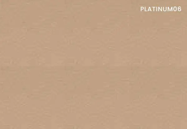 PT06