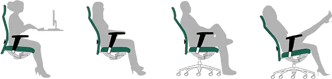 project wellness Crono 24
