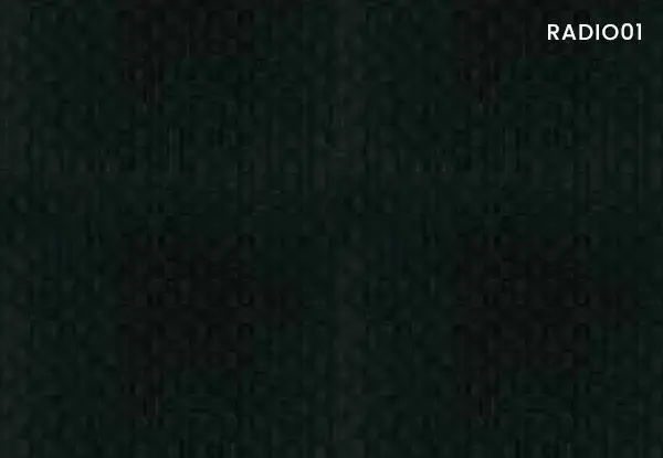 RY01